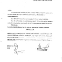 Decreto N 1313-2004.pdf