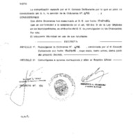 Decreto N 0100-1996.pdf