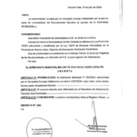 Decreto 1262-2024.pdf
