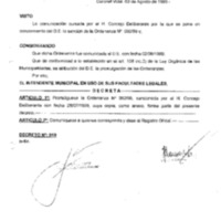 Decreto N 0919-1999.pdf