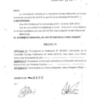 Decreto N 0100-2013.pdf