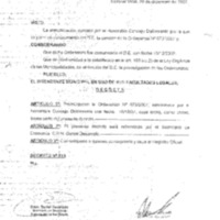 Decreto N 0115-2007.pdf