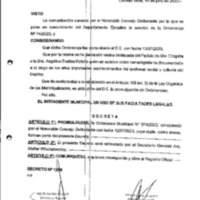Decreto N 1256-2023.pdf