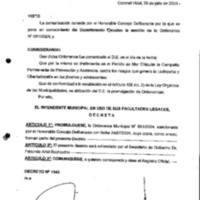 DECRETO N 1343-2024.pdf