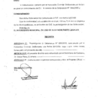 Decreto N 0028-2006.pdf