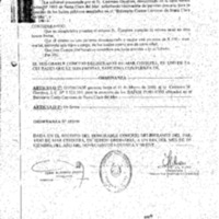 Decreto N 1388-1999.pdf