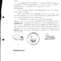 Decreto N 0429-1986.pdf