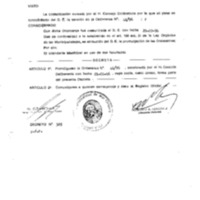 Decreto N 0385-1996.pdf