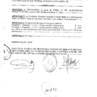 Decreto N 0960 - 1999.pdf