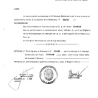 Decreto N 0529-1999.pdf
