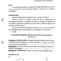 DECRETO N 1233-2024.pdf