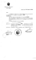 Decreto N 0486-1996.pdf