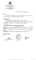 Decreto N 1095-1999.pdf