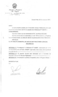 Decreto N 0383-2007.pdf