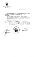 Decreto N 0333-1996.pdf