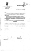 Decreto N 0875-2007.pdf