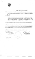 Decreto N 0333-1988.pdf