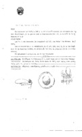 Decreto N 0163- 1987.pdf