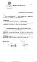 Decreto N 0051-2003.pdf