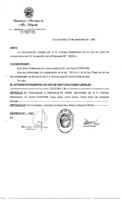Decreto N 1031-1999.pdf