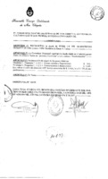 Decreto N 0960 - 1999.pdf