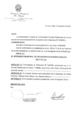 Decreto N 1010-2008 con ordenanza 34.pdf