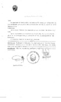 Decreto N 0162- 1987.pdf